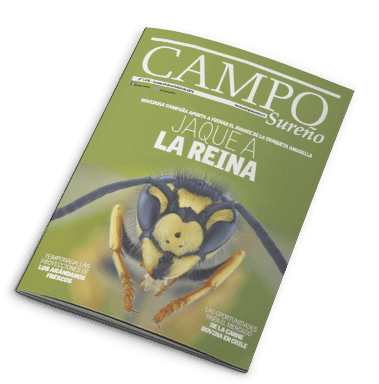 Revista Campo Sureño